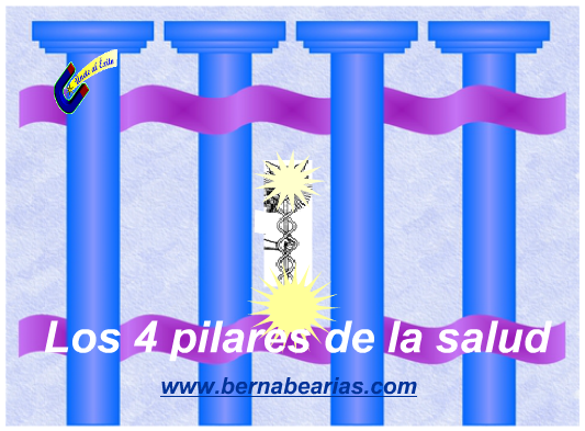 Los 4 Pilares De La Salud Blog Bernabe Arias 2722